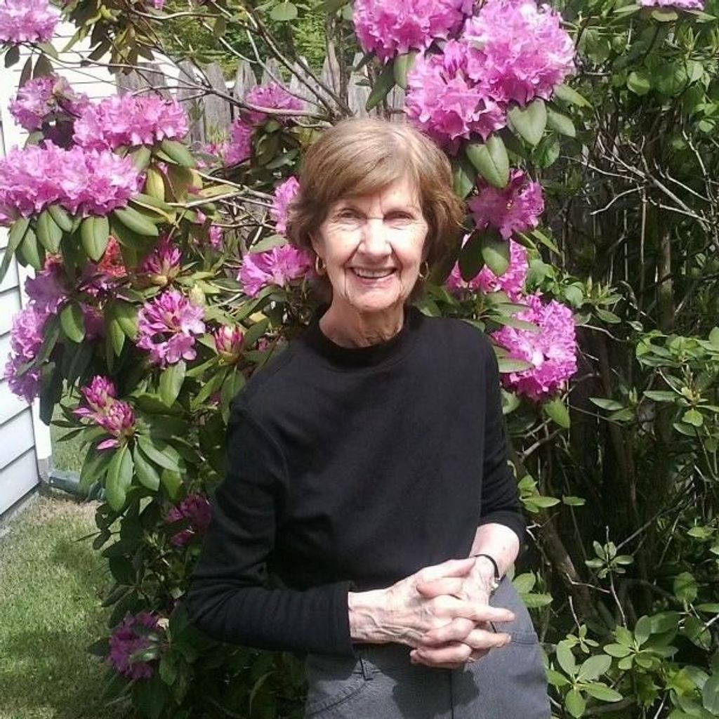 Laura Ann Hooghuis Profile Photo