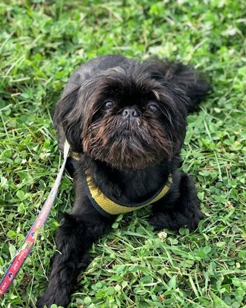 Jet Moscona Profile Photo