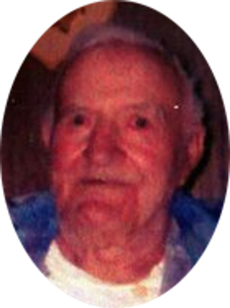 Andrew  Carl Stegeman