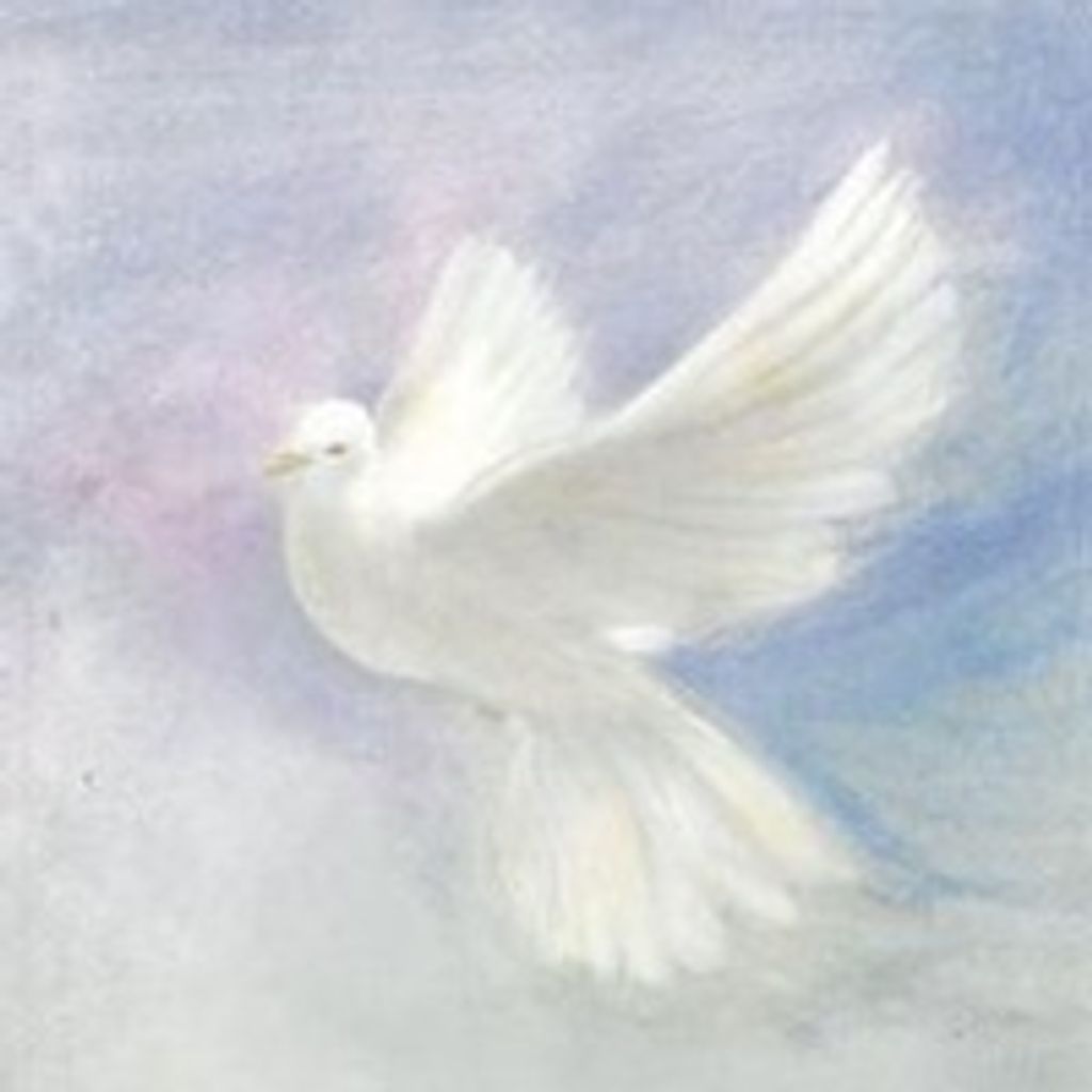 Beverly Baird Profile Photo