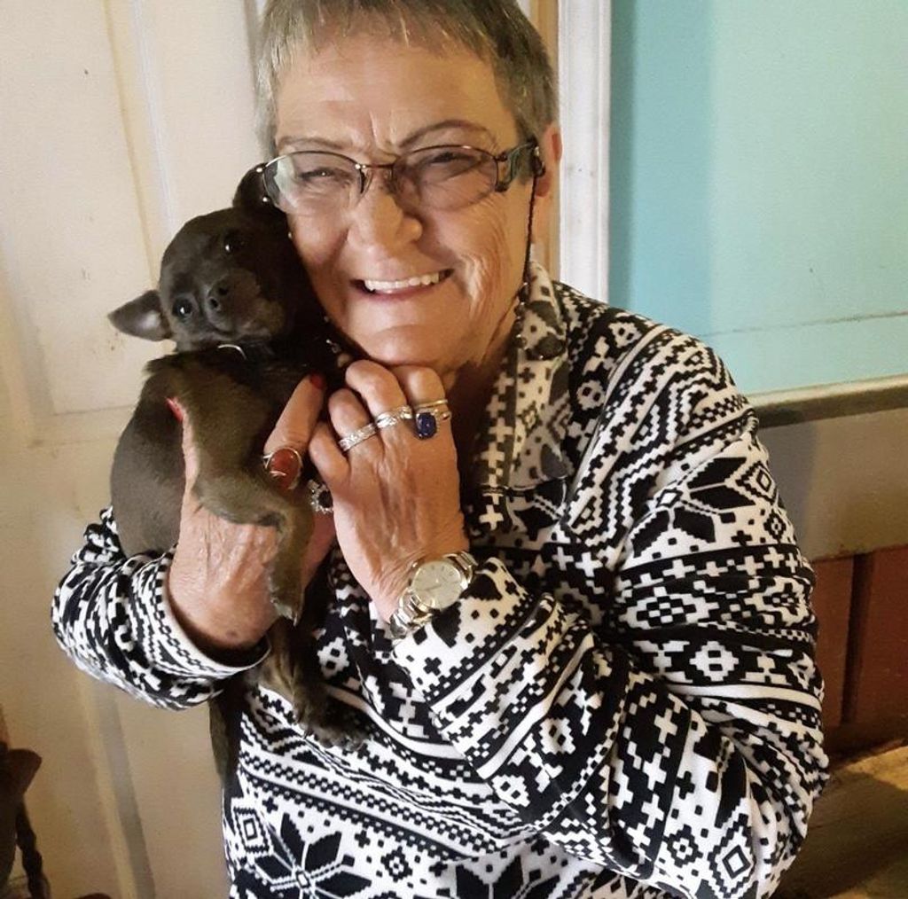 Patricia Kenney Profile Photo
