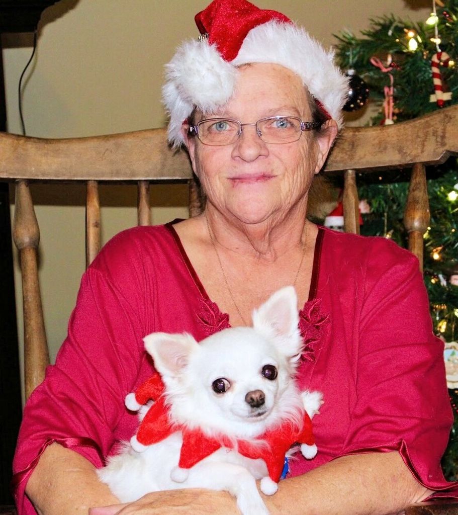 Susan Elizabeth Dainton