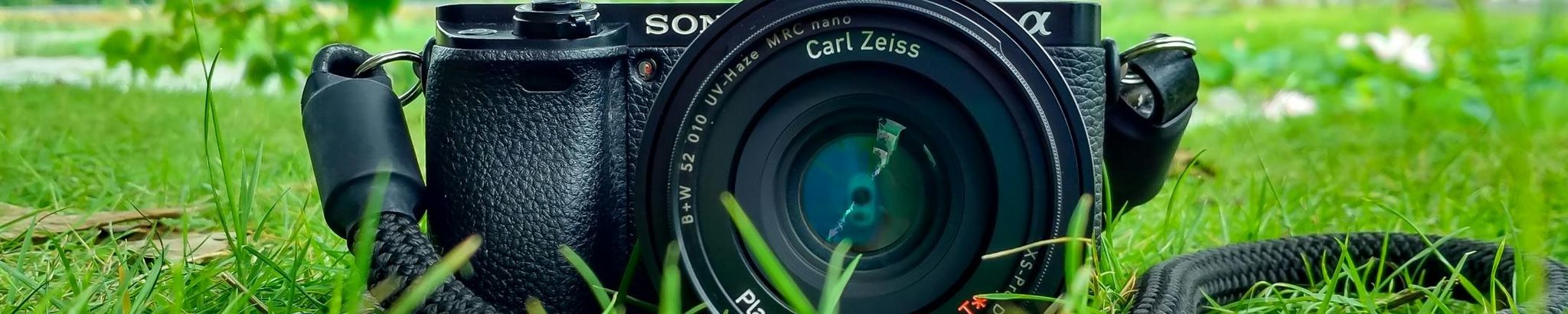 Cover for Pierre Pomerleau's Obituary