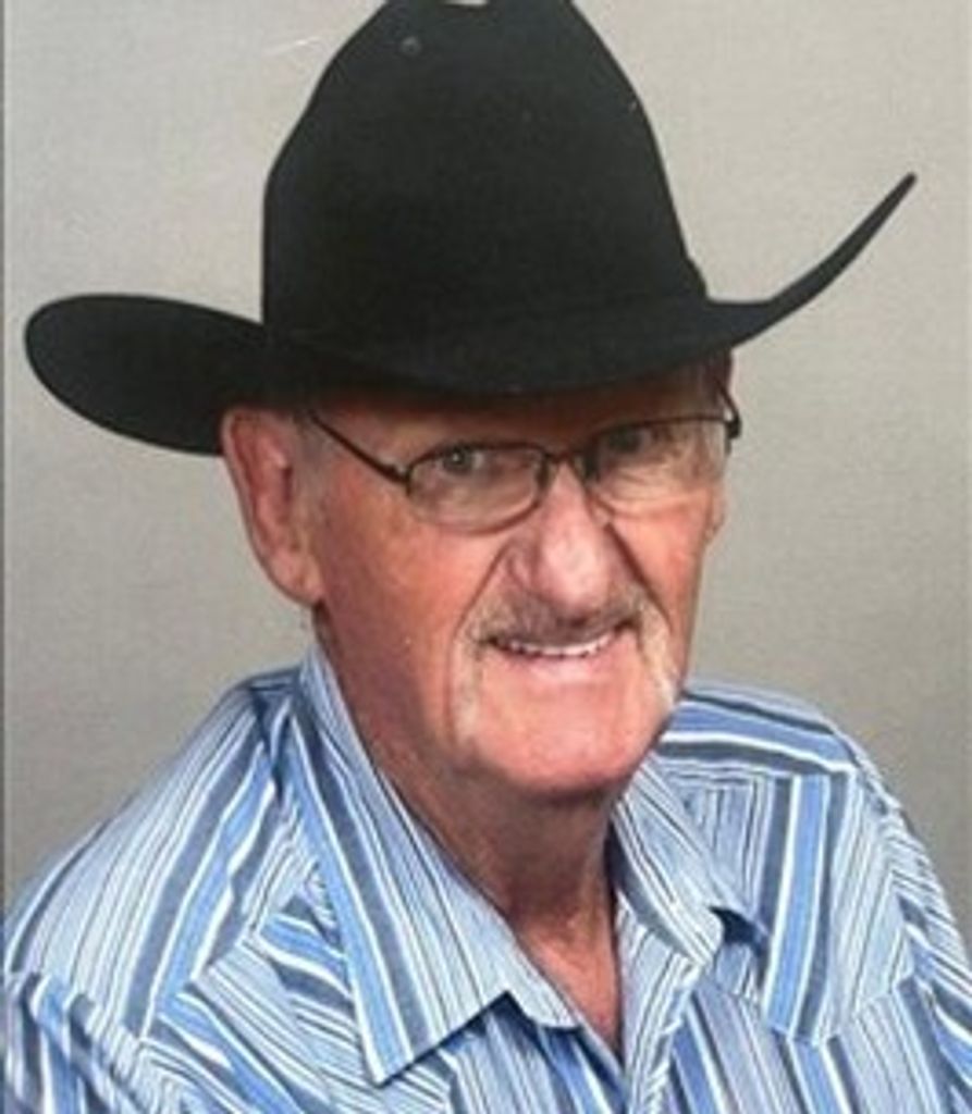 Glen Higgins Profile Photo