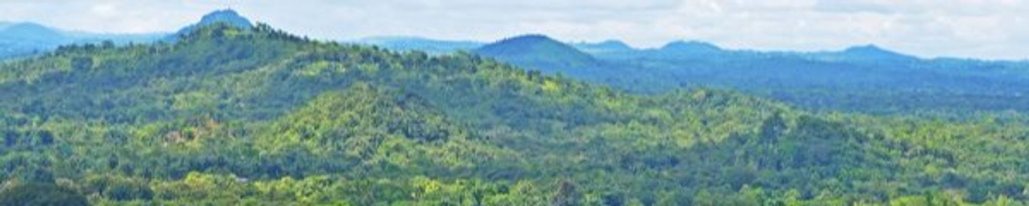 Cover photo for Marlon Rafael Cruz Lanuza's Obituary