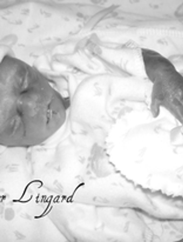 Carson Lingard