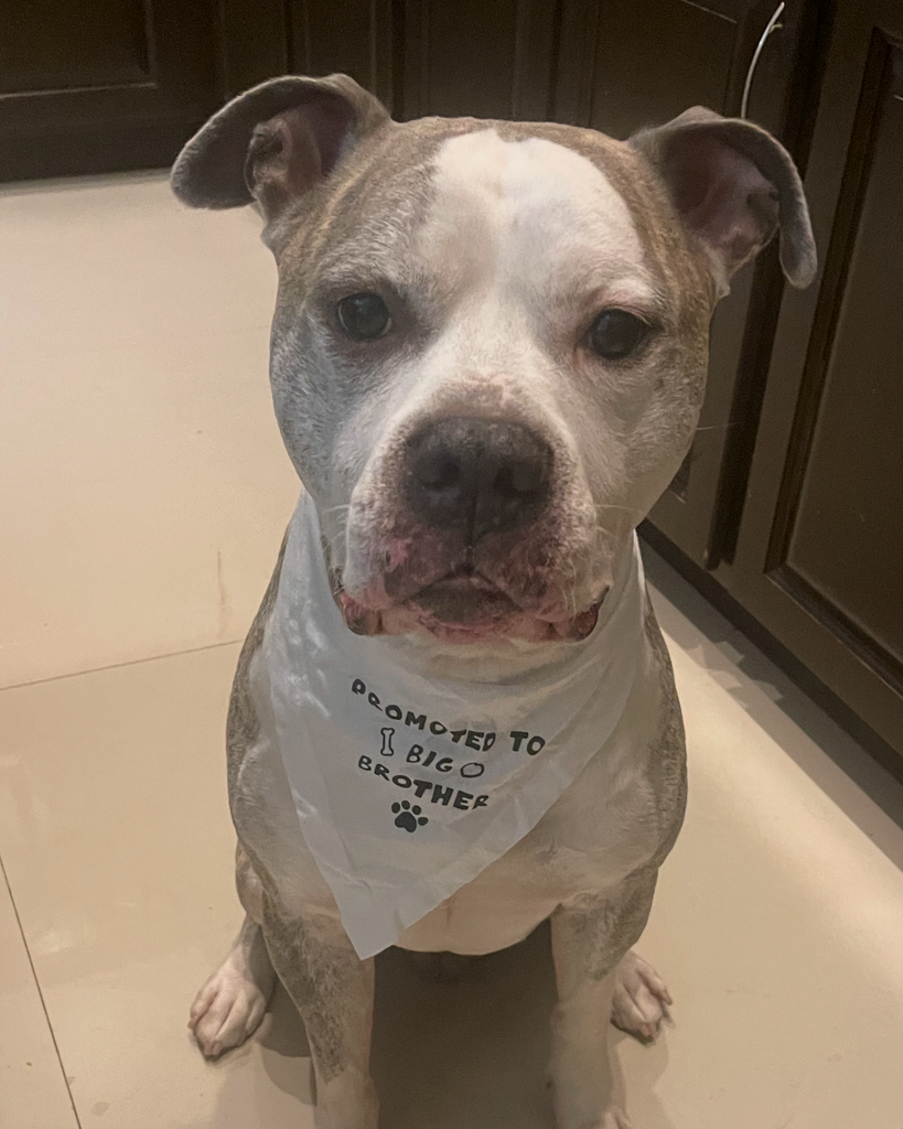 Thor 🖤 Profile Photo