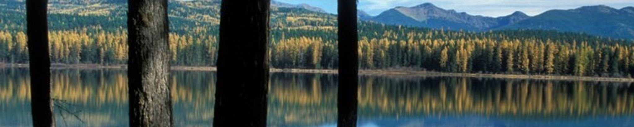 Cover for Julie Anne M. Heck's Obituary