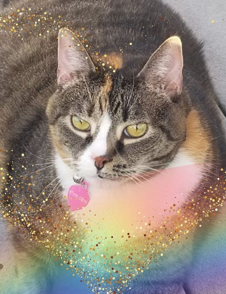 Star Profile Photo