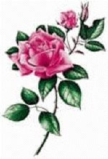 Lona Mae Doss Profile Photo