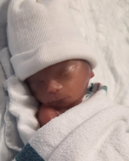 Liam Edward Damon's obituary image