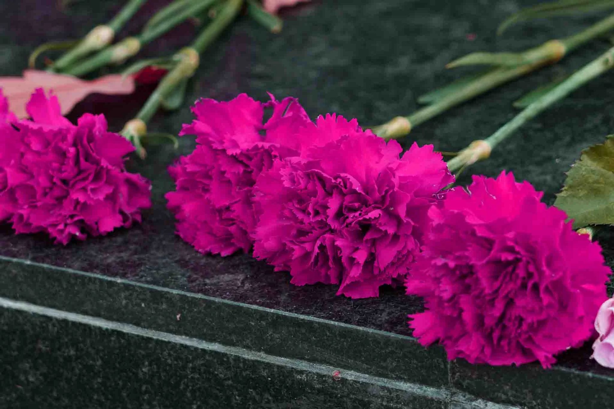 Cover for Suzanne Marie St. Clair's Obituary