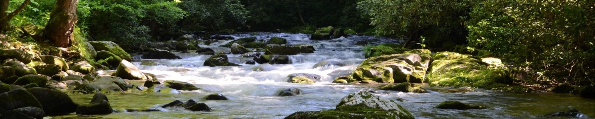 Cover for Stephen Lamoni Muir, Jr.'s Obituary