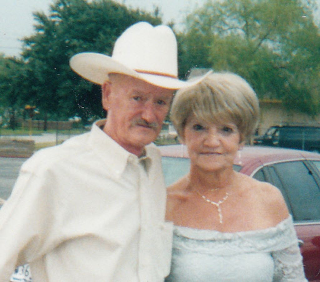 Patricia Ann (Damowicz)  Weber Profile Photo