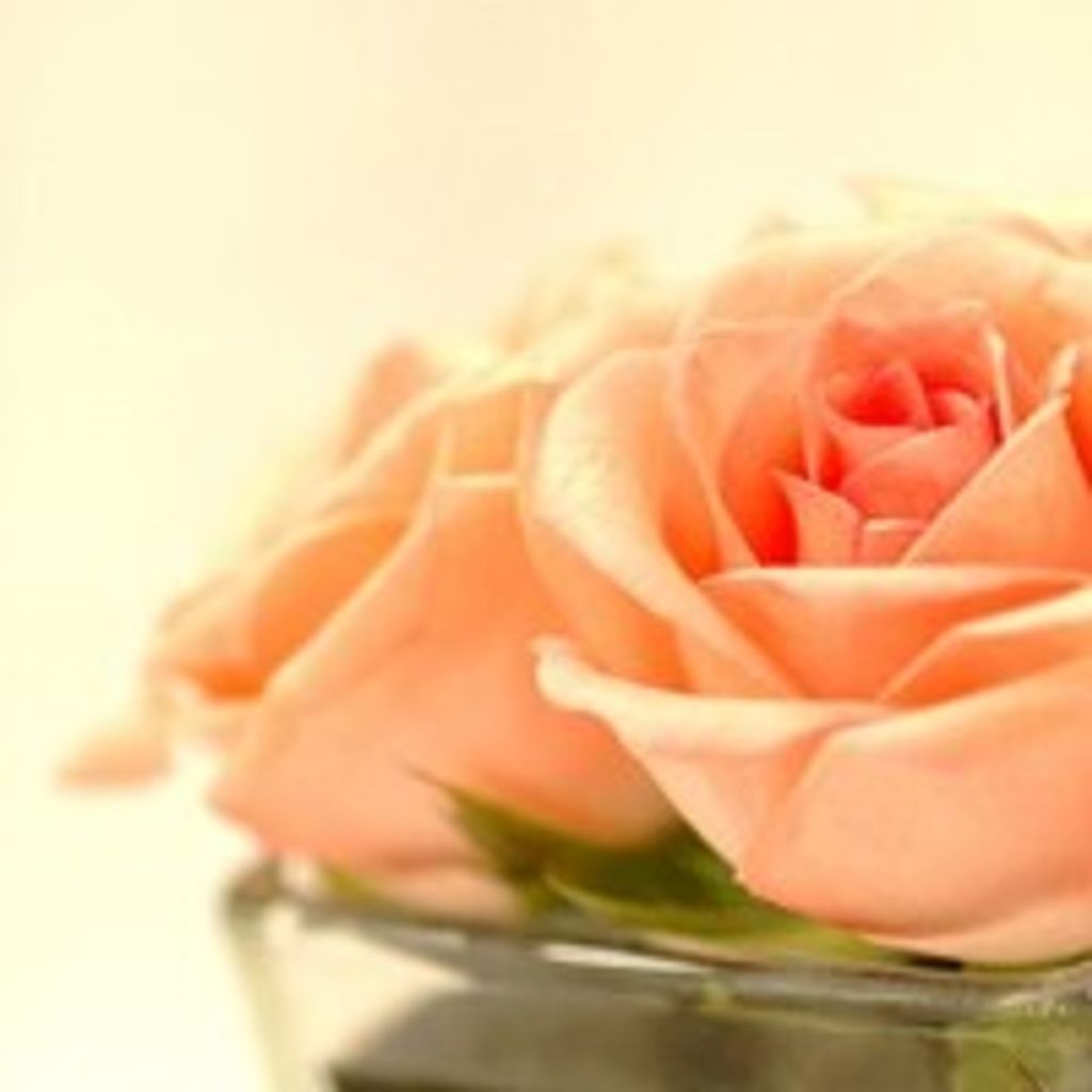 Bertha M. "Beth" Lozzi Profile Photo