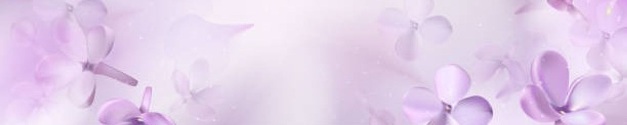 Cover photo for Bernadette Romero's Obituary