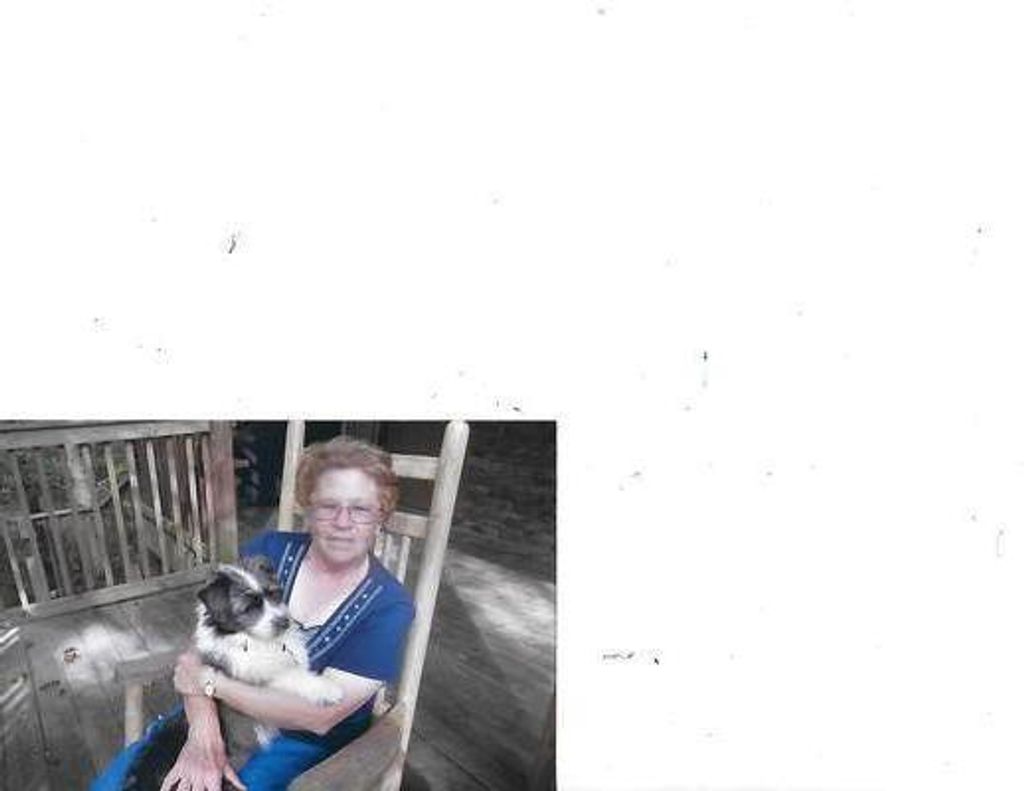 Shirley Mae Chapman Profile Photo