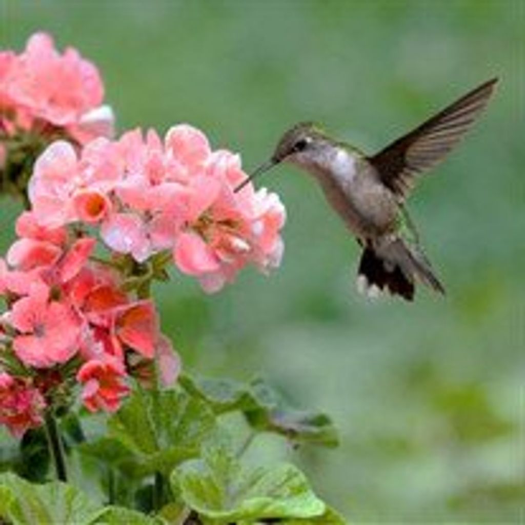 Caryl  Traten Fisher