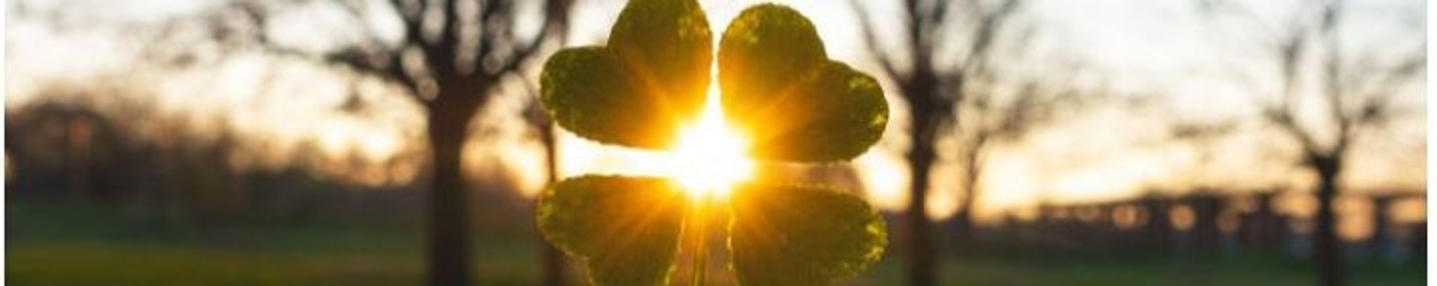 Cover for Patricia Ann "Patty" Weber's Obituary