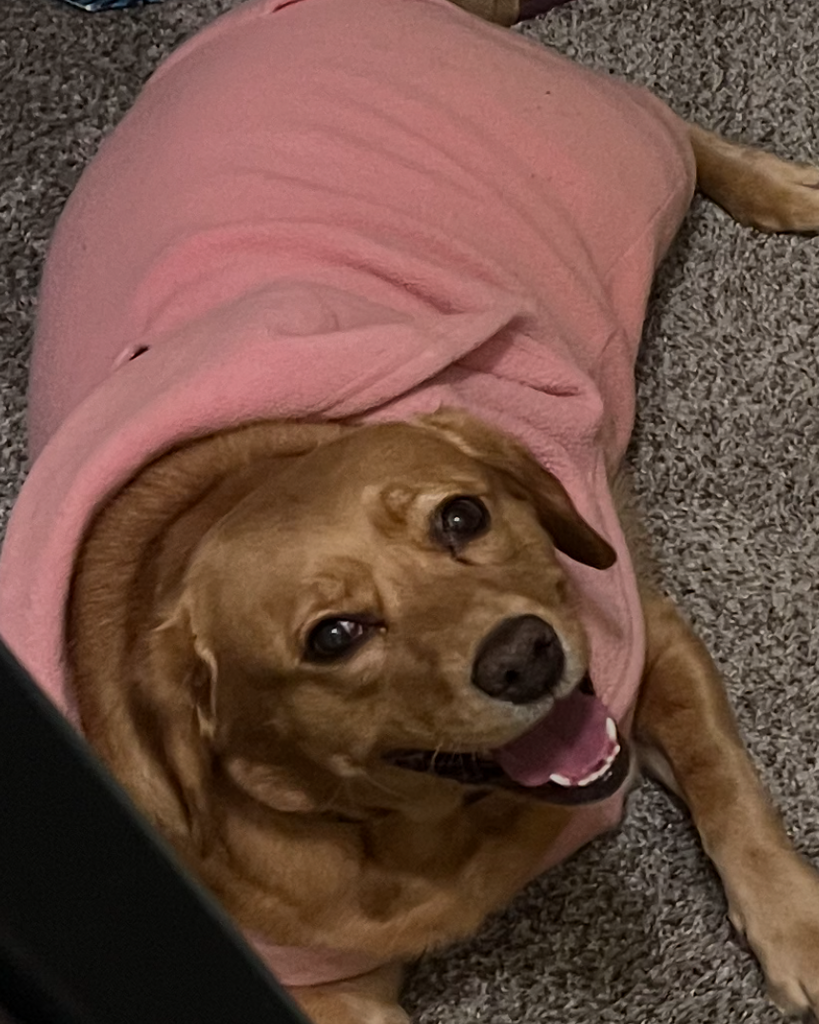 Maxine Hunter Profile Photo