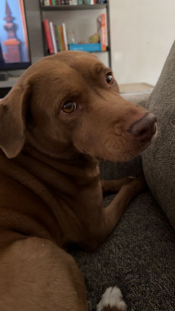 Maggie Profile Photo