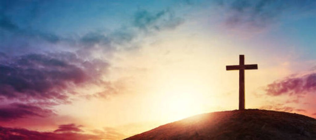 Mary Donohue Profile Photo