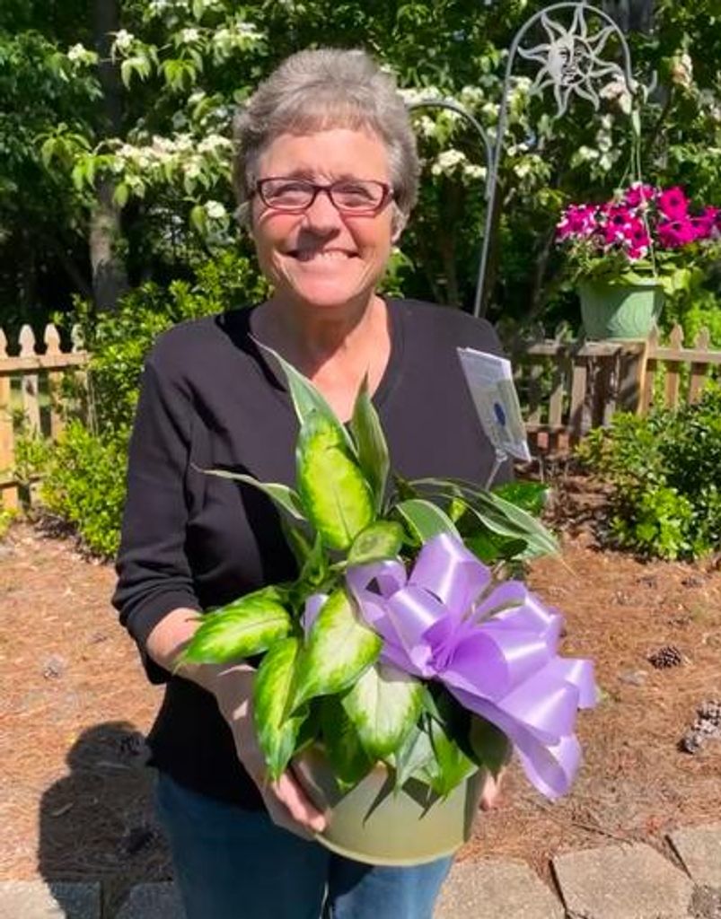 Mary Beth Viau Profile Photo