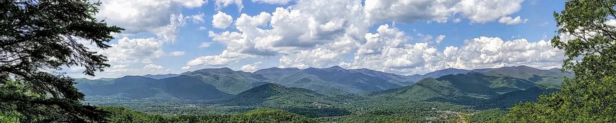 Cover photo for Thomas Adams, Sr.'s Obituary