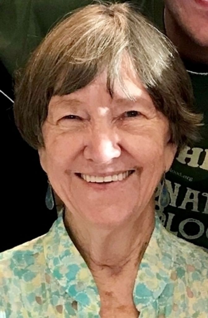 Mrs Marilyn Hollis Profile Photo