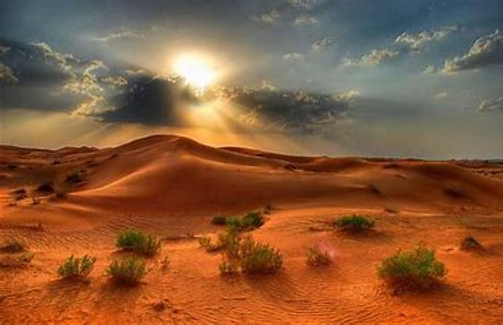 David Villalobos Profile Photo