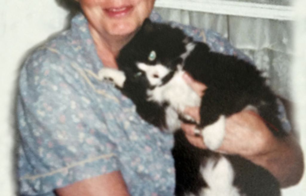 Dolores A. DeBarr