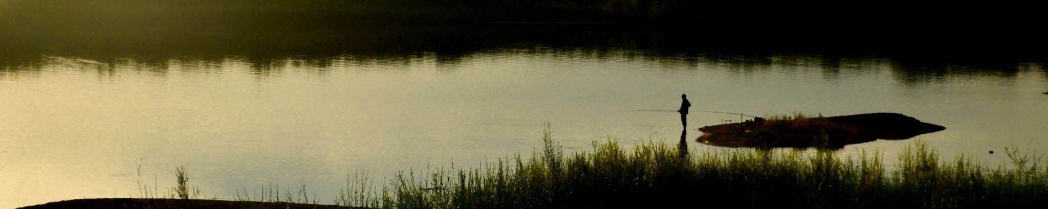 Cover photo for Austilla Erwin's Obituary