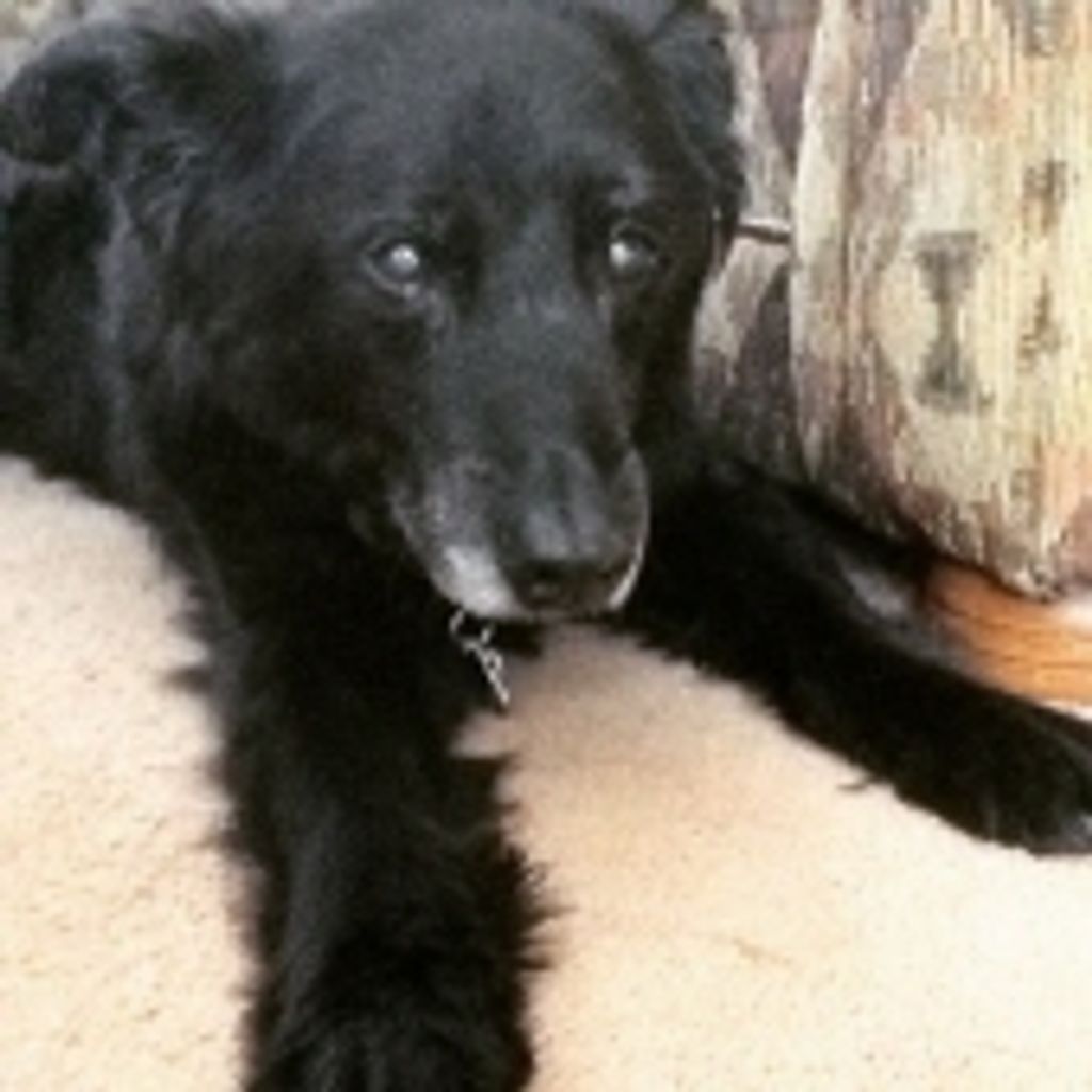 Keeter Redman Profile Photo