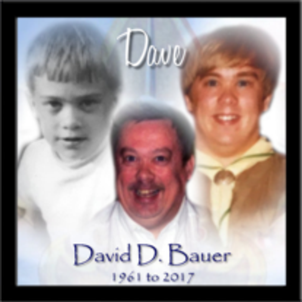 David D. Bauer