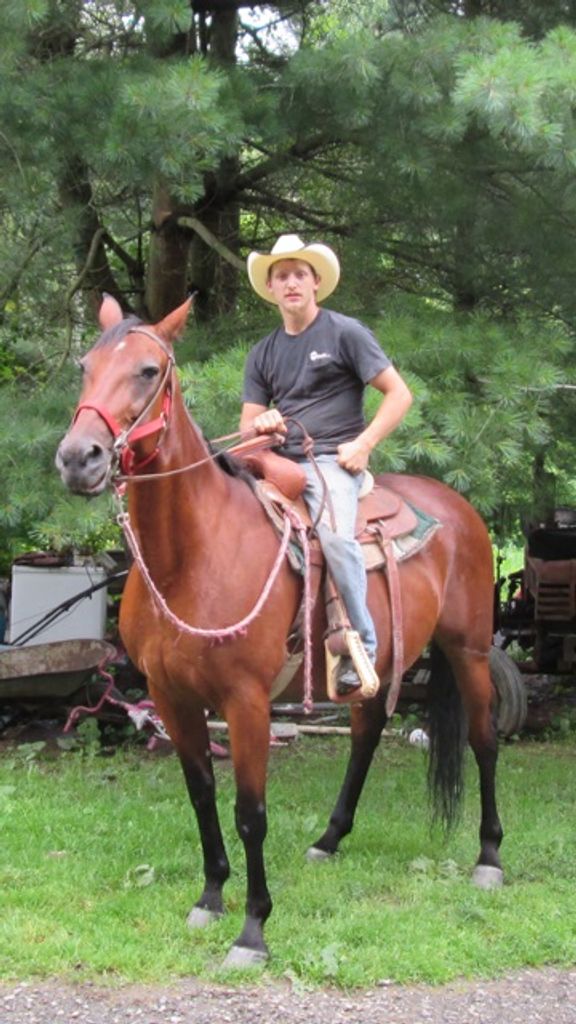 Brandon B. Niver Profile Photo