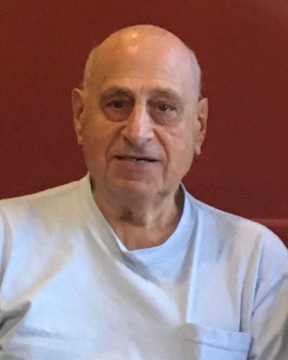 Albert Leonard Matozzi's obituary image