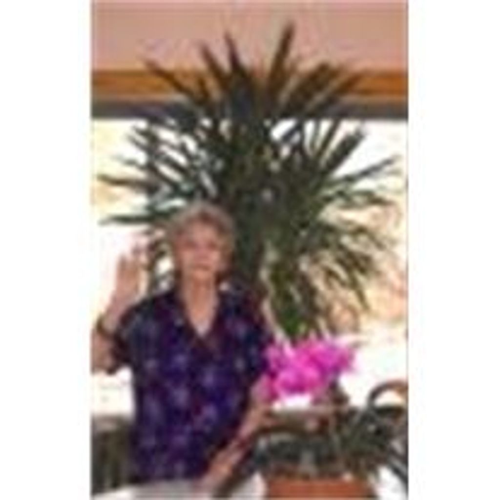 Vitalia M. Age - 77 - Rio Chama Martinez