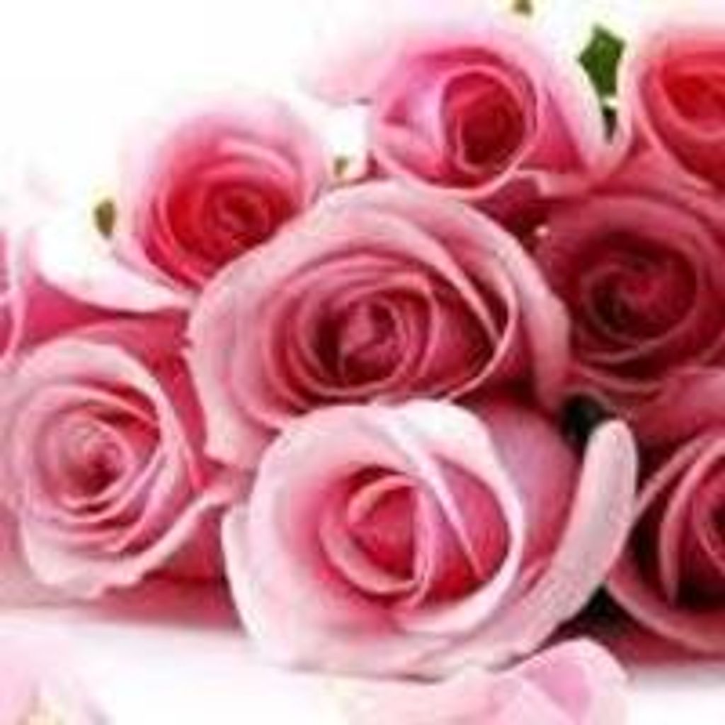 Joan  D. (Seroka)  Brutto