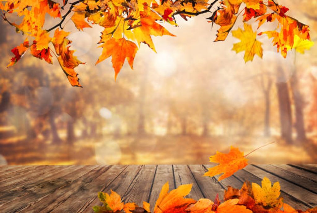 Marilyn L. Geismann Profile Photo