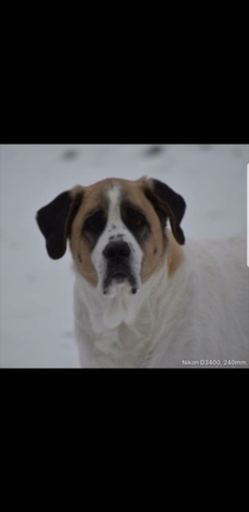 Mollie Hampton Profile Photo
