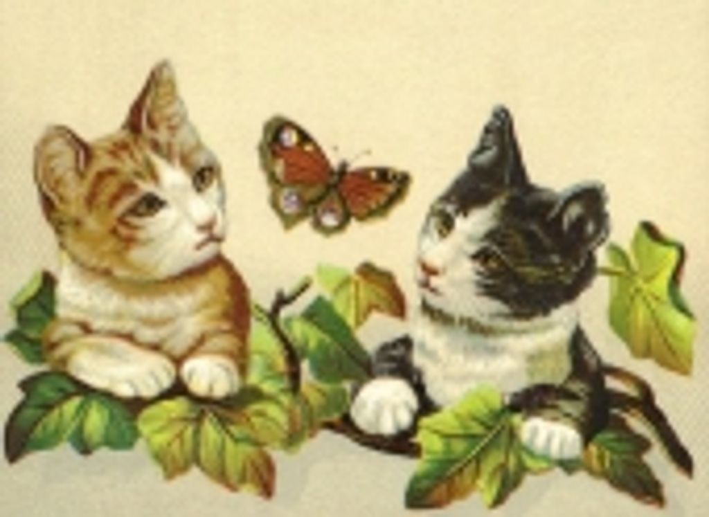 Donna Ruth Atkins