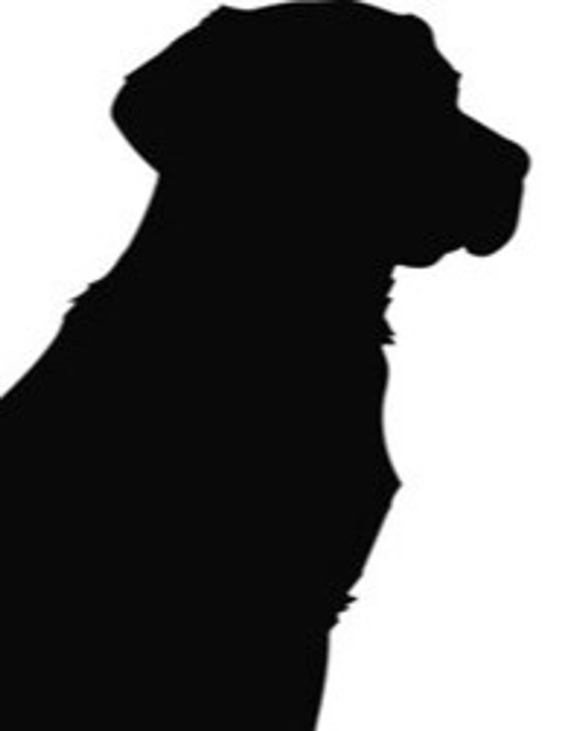 Rudder Elliott Profile Photo