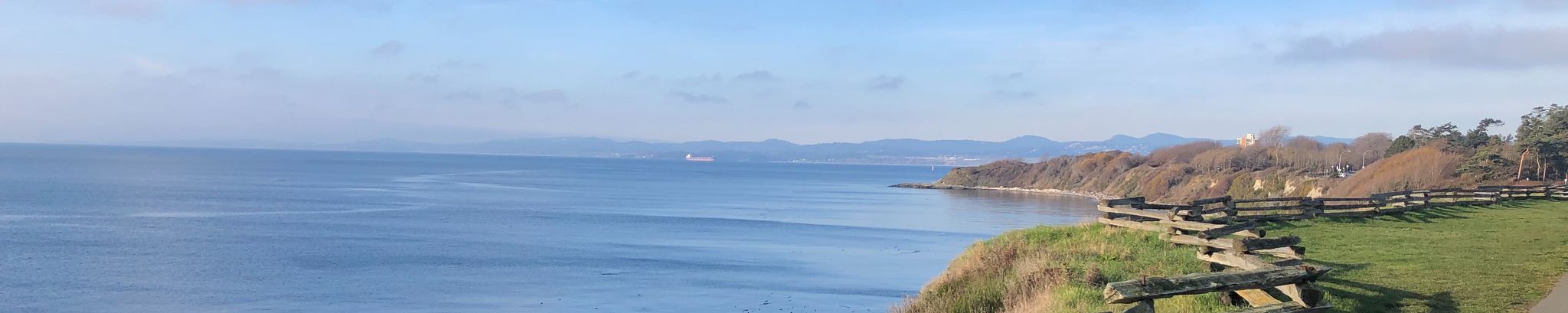 Cover for Margaretha Martha de Faye's Obituary