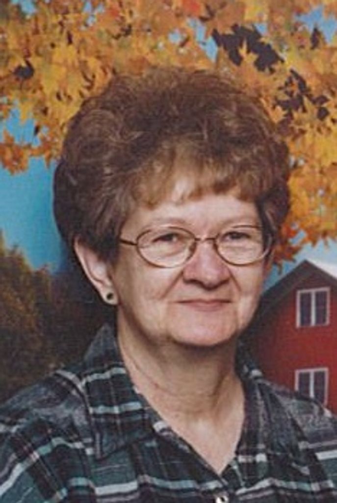 Nancy Ann (Farrand)  Darkis