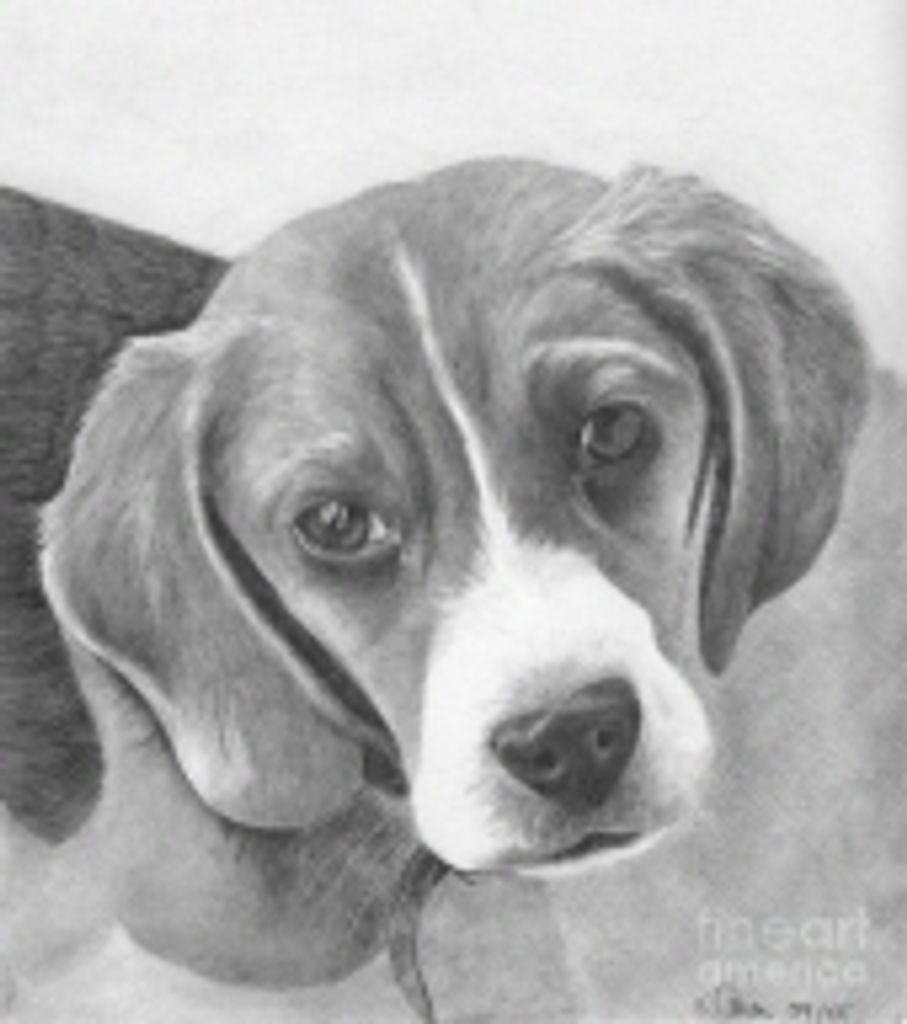 Max Amos Profile Photo