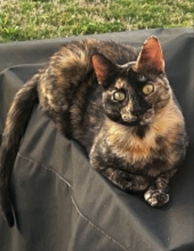Freya Boykin