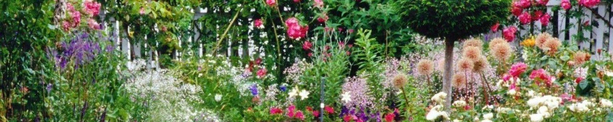 Cover for Martha B. Hart's Obituary