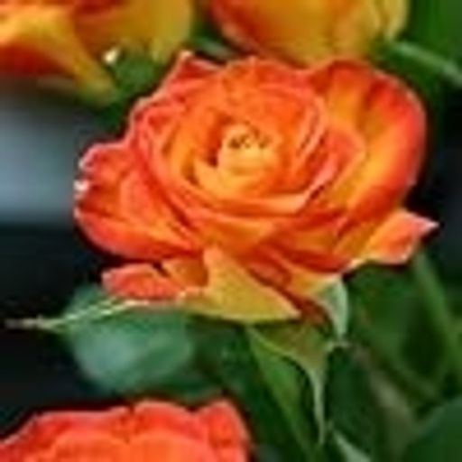 Nancy Kay Petersen's obituary image