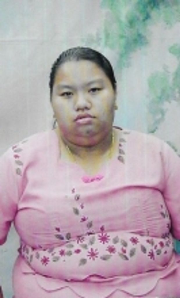 Ann (Lansing) Vang