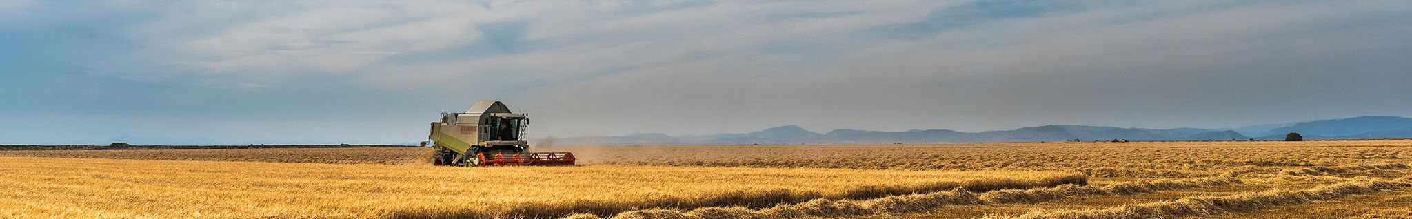 Cover photo for Randy Phillips's Obituary